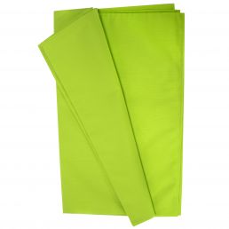 Ljusgrön SIMPLE duk med måtten 150x250 cm, i en enkel design.