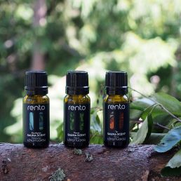 Kolme 10 ml RENTO eukalyptus saunatuoksun öljypulloa luonnonpuisella kannot, ympäröitynä vihreillä lehdillä.