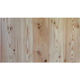 Helepruuni tooniga hööveldatud Euroopa lehisest laudis, nähtavad aastarõngad ja sõlmed.