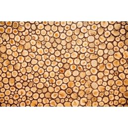 A pattern of a juniper board with tightly arranged round wood pieces. Natural tones.