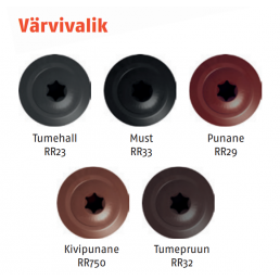 Viisi eriväristä kattoruuvi, pyöreä pää ja Torx-ura, valmistettu metallista, halkaisija 4,8 mm ja pituus 28 mm.